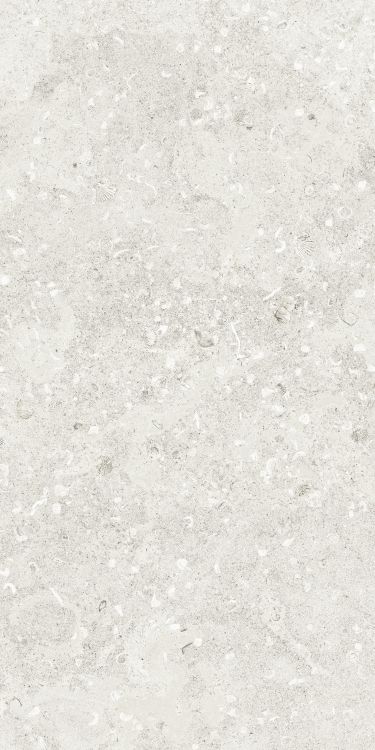 Sea Luster Bianca Matte 24 x 48